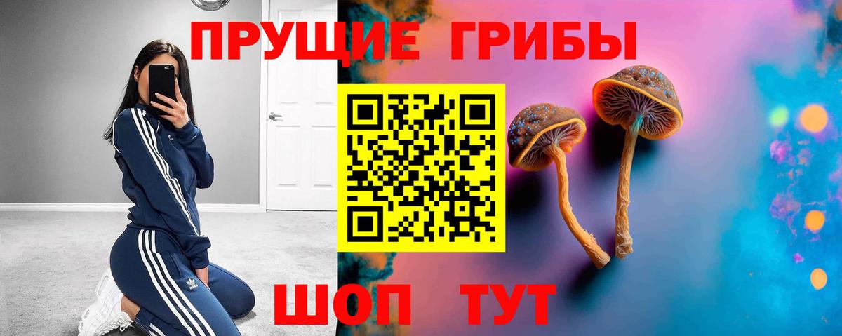 Новокуйбышевск  Псилоцибиновые грибы ЛСД  Вход с VPN  Псилоцибиновые грибы Magic Shrooms 